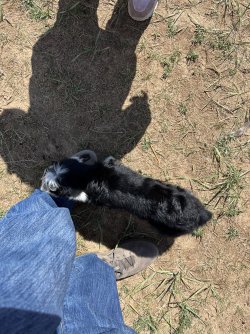 IMG_7253.jpeg IMG_7253.jpeg