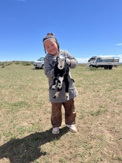 IMG_7244.jpeg IMG_7244.jpeg