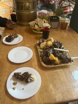 IMG_7294.jpeg IMG_7294.jpeg