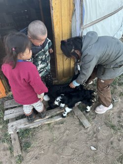 IMG_7322.jpeg IMG_7322.jpeg