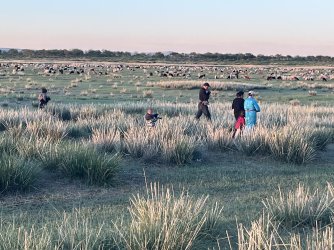 IMG_7327.jpeg IMG_7327.jpeg