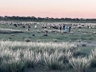 IMG_7329.jpeg IMG_7329.jpeg