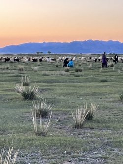 IMG_7336.jpeg IMG_7336.jpeg