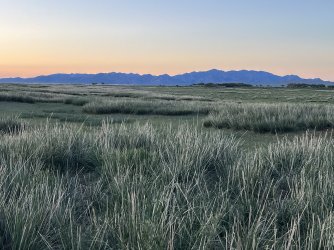 IMG_7339.jpeg IMG_7339.jpeg