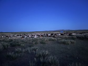 IMG_7344.jpeg IMG_7344.jpeg