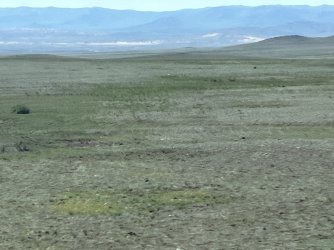 IMG_7359.jpeg IMG_7359.jpeg