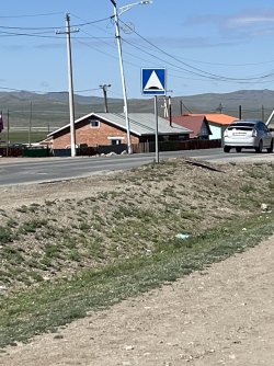 IMG_7368.jpeg IMG_7368.jpeg