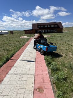 IMG_7377.jpeg IMG_7377.jpeg