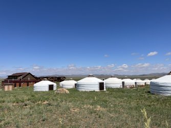 IMG_7385.jpeg IMG_7385.jpeg