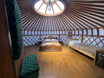 IMG_7402.jpeg IMG_7402.jpeg