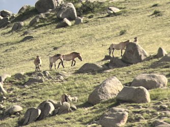 IMG_7436.jpeg IMG_7436.jpeg