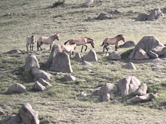 IMG_7470.jpeg IMG_7470.jpeg