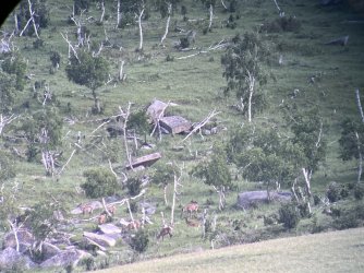 IMG_7440.jpeg IMG_7440.jpeg