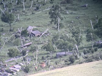 IMG_7446.jpeg IMG_7446.jpeg