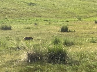 IMG_7476.jpeg IMG_7476.jpeg