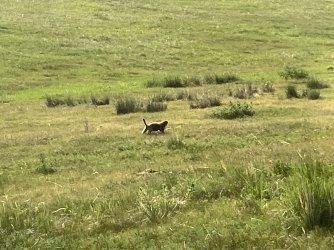 IMG_7480.jpeg IMG_7480.jpeg