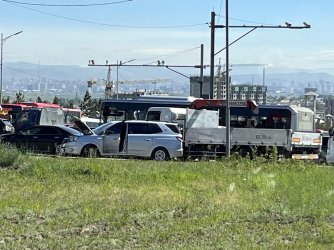 IMG_7513.jpeg IMG_7513.jpeg