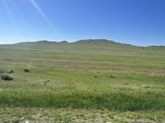 IMG_7355.jpeg IMG_7355.jpeg