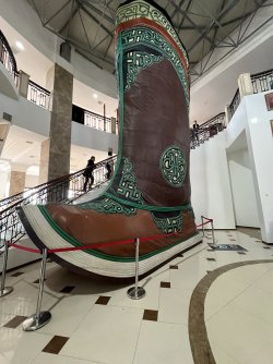 IMG_7585.jpeg IMG_7585.jpeg