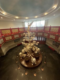 IMG_7679.jpeg IMG_7679.jpeg