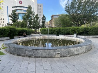 IMG_7705.jpeg IMG_7705.jpeg