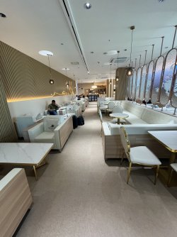 IMG_7733.jpeg IMG_7733.jpeg