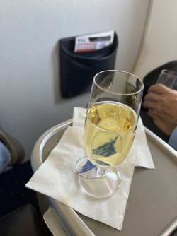 IMG_7741.jpeg IMG_7741.jpeg