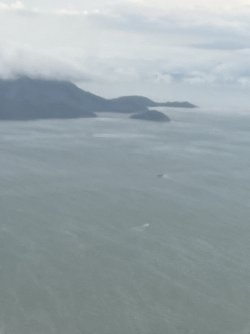 IMG_7779.jpeg IMG_7779.jpeg