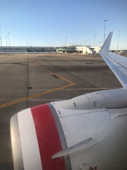 IMG_9984.jpeg IMG_9984.jpeg