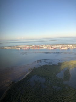 IMG_9987.jpeg IMG_9987.jpeg