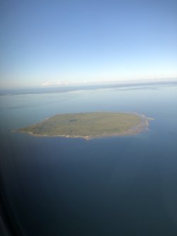 IMG_9988.jpeg IMG_9988.jpeg