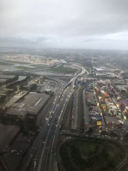 IMG_9993.jpeg IMG_9993.jpeg