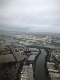 IMG_9994.jpeg IMG_9994.jpeg