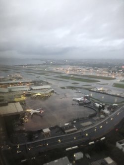 IMG_9995.jpeg IMG_9995.jpeg