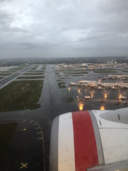 IMG_9996.jpeg IMG_9996.jpeg