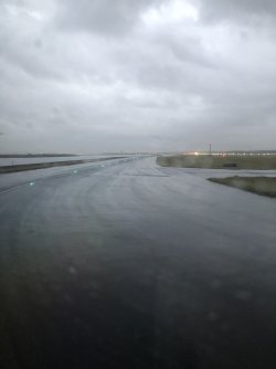 IMG_9998.jpeg IMG_9998.jpeg