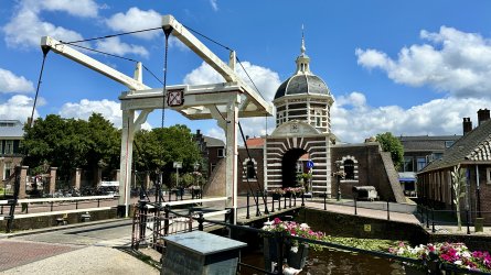 IMG_0516.jpeg IMG_0516.jpeg