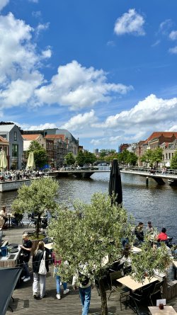 IMG_0509.jpeg IMG_0509.jpeg