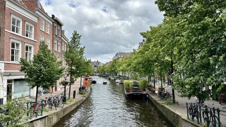 IMG_0508.jpeg IMG_0508.jpeg