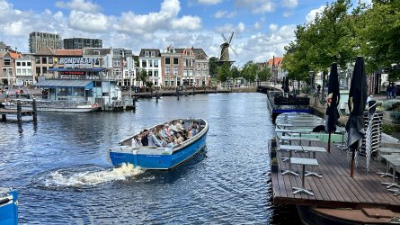 IMG_0504.jpeg IMG_0504.jpeg