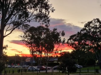 20240609_171455.jpg 20240609_171455.jpg