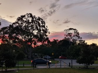 20240609_171511.jpg 20240609_171511.jpg