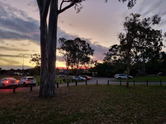 20240609_171658.jpg 20240609_171658.jpg