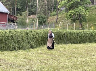 IMG_4777.jpeg IMG_4777.jpeg