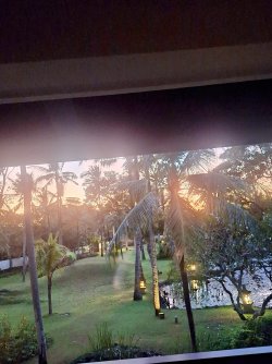 20240610_060851~2.jpg 20240610_060851~2.jpg