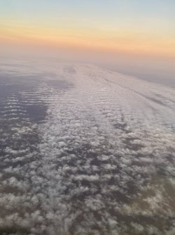 IMG_1417.jpeg IMG_1417.jpeg