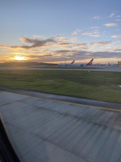 IMG_1420.jpeg IMG_1420.jpeg