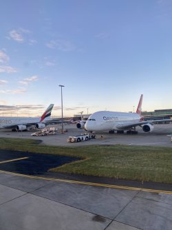 IMG_1421.jpeg IMG_1421.jpeg