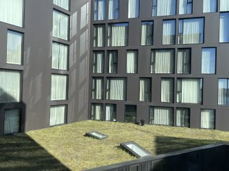 IMG_4821.jpeg IMG_4821.jpeg