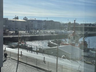 IMG_4820.jpeg IMG_4820.jpeg